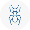 Ant Removals In Eton