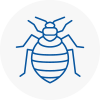 Bed Bug Extermination In Eton