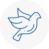 Bird Prevention Eton
