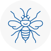Eton Hornet Nest Removals