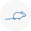 Mice Exterminators In Eton