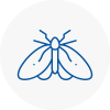 Moth Control Specialists In Eton