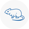 Rat Control Eton