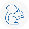 Eton Rodent Removals
