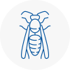 Eton Wasp Nest Removal